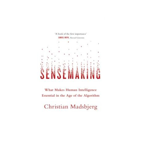 Sensemaking