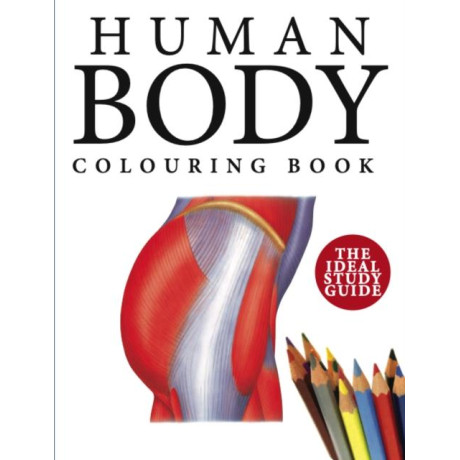 Human Body Colouring Book
