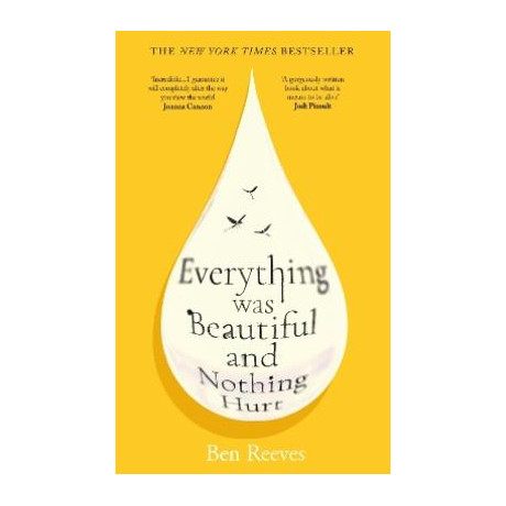 Everything was Beautiful and Nothing Hurt tpb