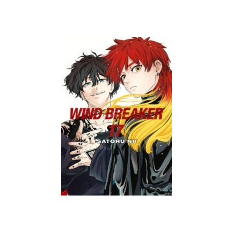 Wind Breaker 17