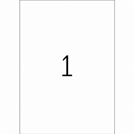 Ετικέτες TYPOTRUST 100 ΦΥΛΛΑ - 210 Χ 297mm (100 ετικ)