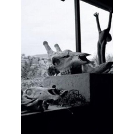 Ο Συντηρητής - Ναντίν Γκόρντιμερ