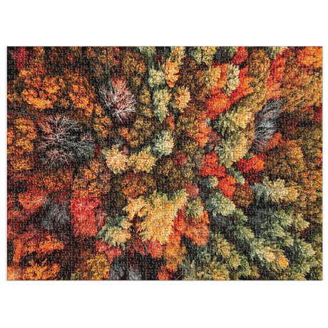Παζλ Good Puzzle Company 1000 Κομματιών "Autumn Forest" GPC1620