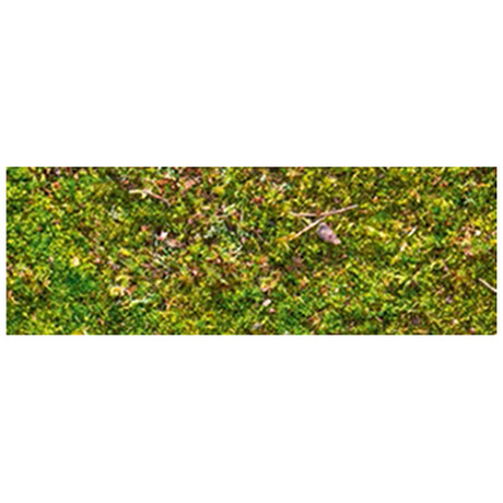 Χαρτόνι Moss 50x68 300gr