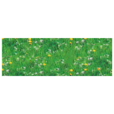 Χαρτόνι Γρασίδι Λουλούδια 50x68 300gr