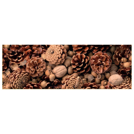 Χαρτόνι Κουκουνάρια 50x68 300gr