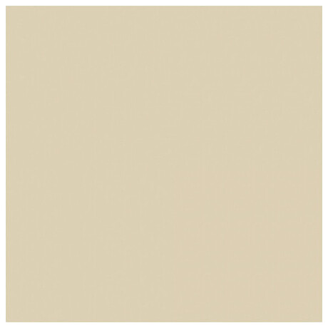 Χαρτόνι ΤΥΠΟΥ Κανσόν 220gr 100x70cm Μπεζ