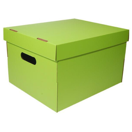 Κουτί Χάρτινο Αποθήκευσης Α4 Λαχανί (Υ:19x30x25.5cm)