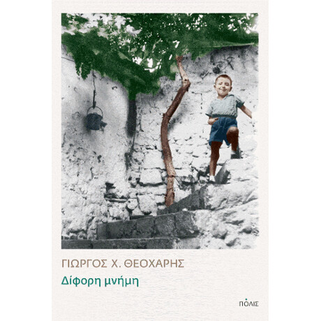 Δίφορη Μνήμη