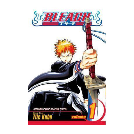 Bleach, Vol. 1