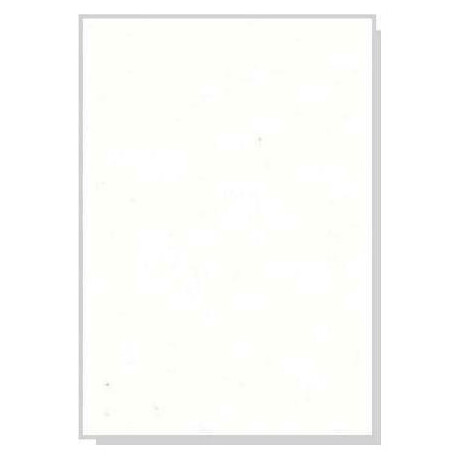 Χαρτί Α4 160gr ΛΕΥΚΟ 50 φυλλα (NV330950)
