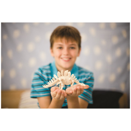 4M Toys - Ανασκαφή Βελοσιράπτορας 13234 4M0023