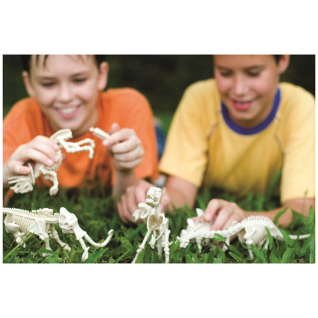 4M Toys - Ανασκαφή Βελοσιράπτορας 13234 4M0023