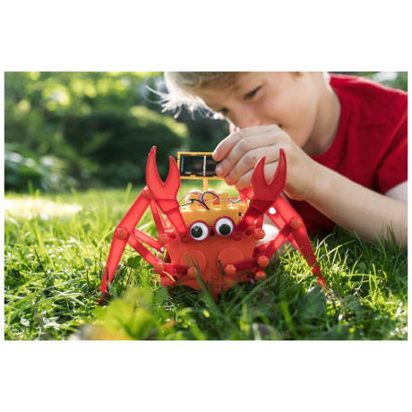 4M Toys - Κατασκευή Ρομπότ Καβούρι 3448 4M0595