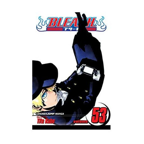 Viz Bleach gn Vol. 53 Paperback Manga