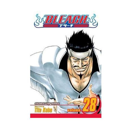 Viz Bleach gn Vol. 28 (Curr Ptg) Paperback Manga