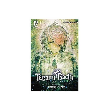 Viz Tegami Bachi gn Vol. 19 Paperback Manga